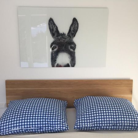 Exklusive Ferienwohnung Am Prielerweg In Hinterstoder Exteriör bild