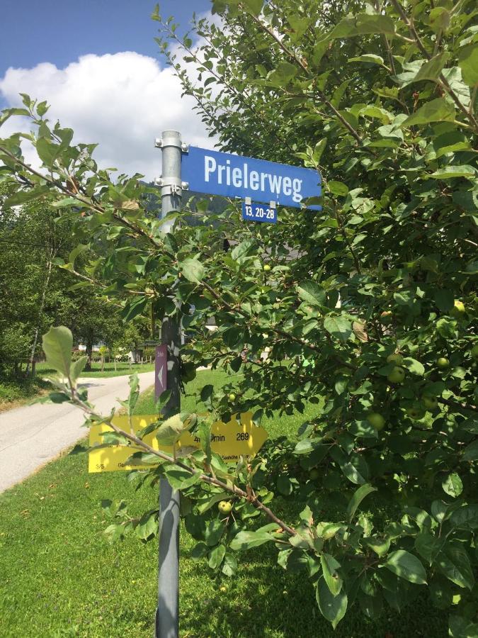 Exklusive Ferienwohnung Am Prielerweg In Hinterstoder Exteriör bild
